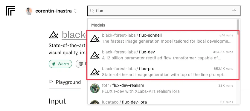 Les modèles Flux Schnell et Flux Dev de Black Forest Labs sur Replicate