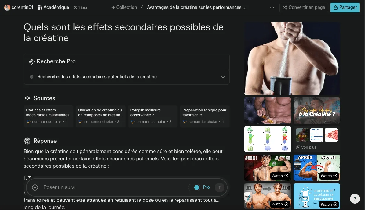 La fonction Pages de Perplexity AI